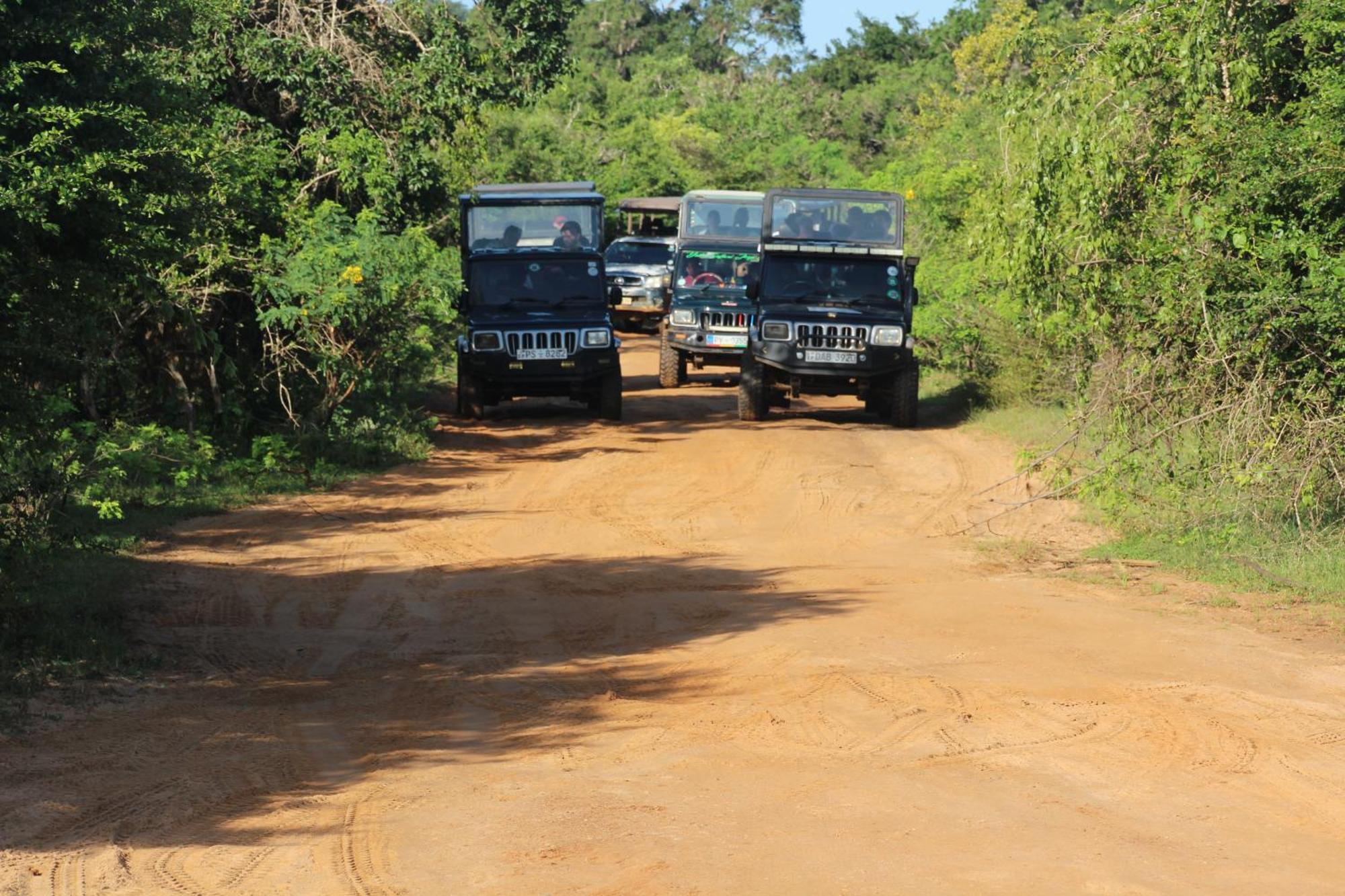 Udara Guest - Yala Safari Villa Bagian luar foto